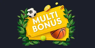 Playfina Casino 100% Bonus of Accumulator